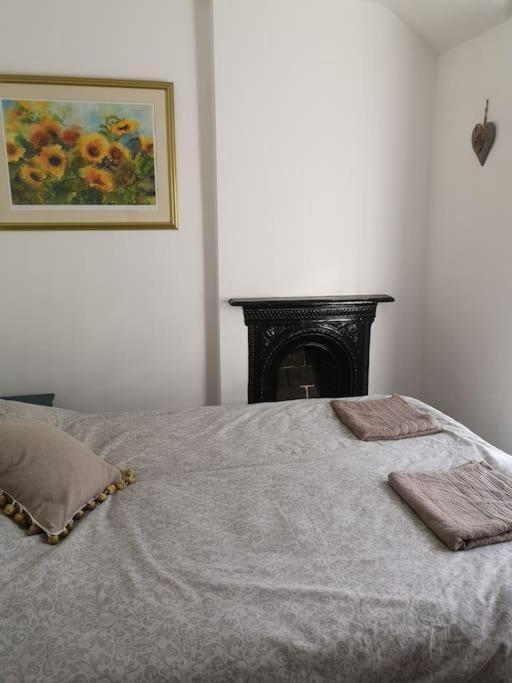 Dol Bach - Your Homely Welsh Cottage In The Heart Of Snowdonia 블레노페스티니오그 외부 사진