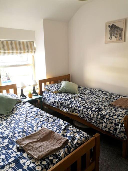 Dol Bach - Your Homely Welsh Cottage In The Heart Of Snowdonia 블레노페스티니오그 외부 사진