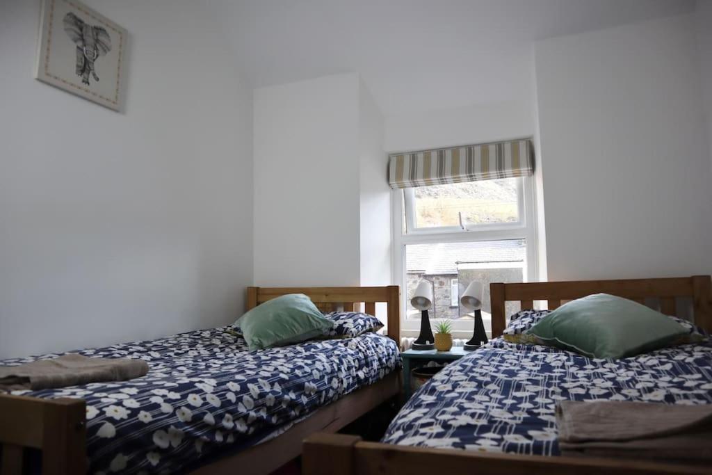Dol Bach - Your Homely Welsh Cottage In The Heart Of Snowdonia 블레노페스티니오그 외부 사진