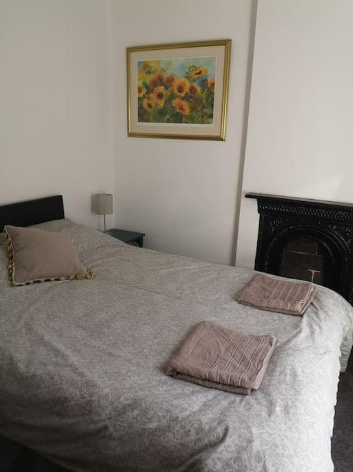 Dol Bach - Your Homely Welsh Cottage In The Heart Of Snowdonia 블레노페스티니오그 외부 사진